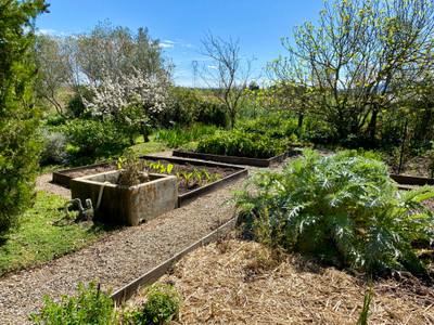 French property for sale in Saint-Frichoux, Aude - €478,000 - photo 12