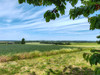 French property for sale in Prinçay, Vienne - €212,000 - thumbnail 14