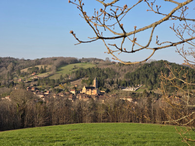 French property for sale in Plazac, Dordogne - €260,000 - photo 8
