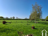 French property for sale in La Comelle, Saône-et-Loire - €495,000 - thumbnail 9