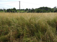Terrain à vendre à Vigeois, Corrèze - 23.000 € - photo 11