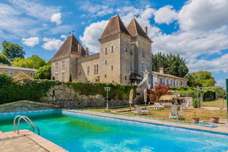 French property for sale in Casteljaloux, Lot-et-Garonne - &#8364;2,730,000 - photo 2