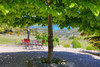 French property for sale in Murs, Vaucluse - €660,000 - thumbnail 9