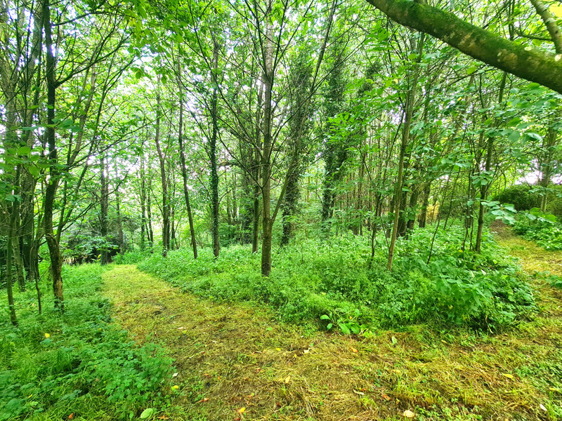French property for sale in Passais Villages, Orne - €170,000 - photo 13