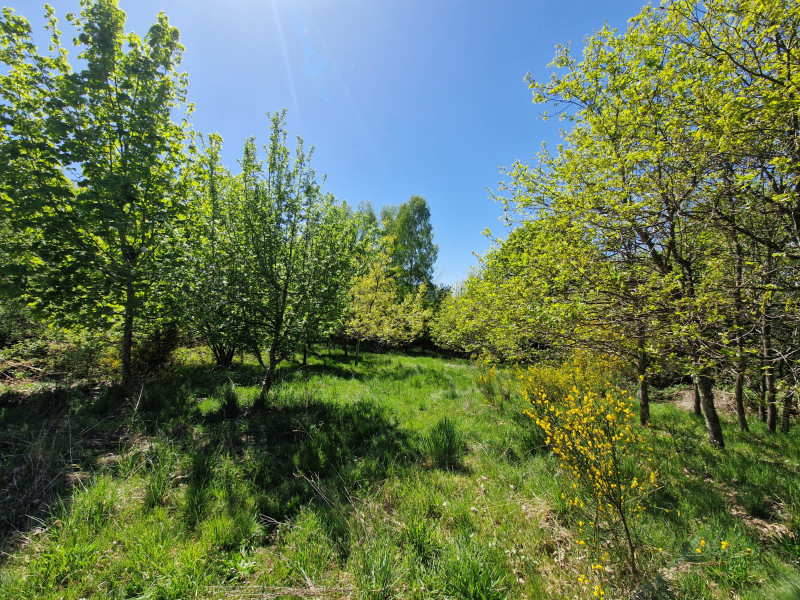 French property for sale in Saint-Agnant-près-Crocq, Creuse - €104,500 - photo 10