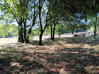 French property for sale in La Chapelle-Bâton, Vienne - €204,120 - photo 13