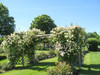 French property for sale in Duras, Lot-et-Garonne - €550,000 - thumbnail 9