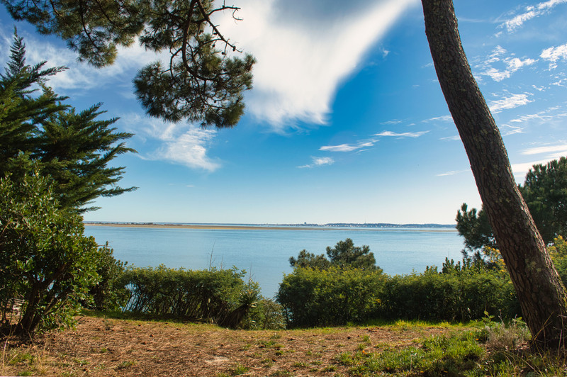 French property for sale in Lège-Cap-Ferret, Gironde - &#8364;6,300,000 - photo 4