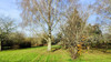 French property for sale in Chassiecq, Charente - €79,995 - thumbnail 12