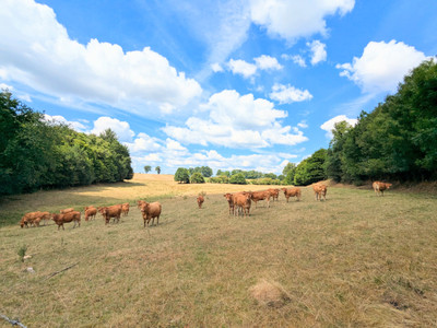 French property for sale in Saint-Julien-le-Vendômois, Corrèze - €295,000 - photo 6