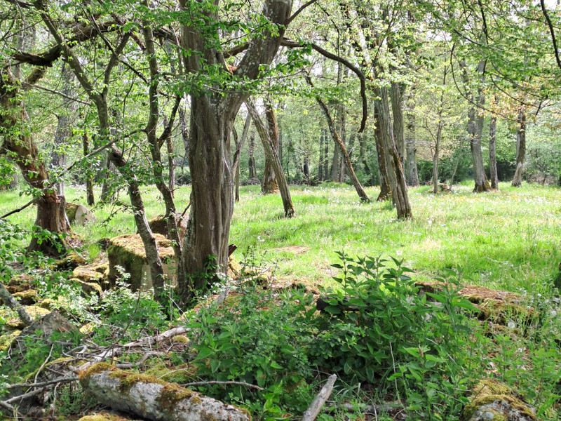 French property for sale in Saint-Léger-sur-Vouzance, Allier - €199,500 - photo 11