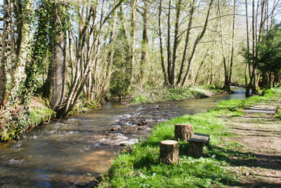 French property for sale in ST GEORGES DE ROUELLEY, Manche - €450,000 - photo 4
