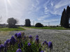 French property for sale in Béganne, Morbihan - €232,000 - thumbnail 14