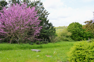 French property for sale in Poursac, Charente - €144,259 - photo 1