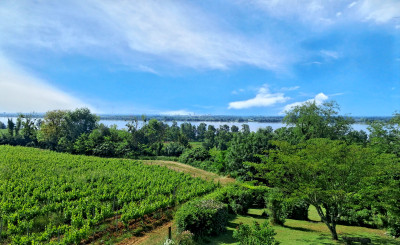 French property for sale in Bourg, Gironde - €371,000 - photo 13