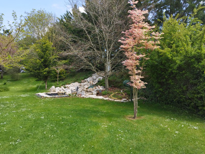 French property for sale in Limalonges, Deux-Sèvres - €189,000 - photo 3