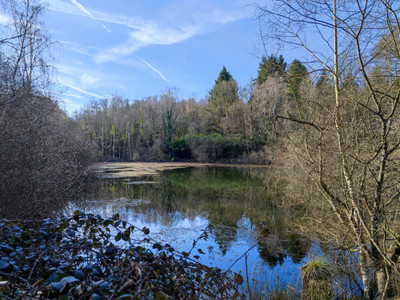 Lacs à vendre à Nieul, Haute-Vienne, Limousin, avec Leggett Immobilier