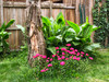 French property for sale in Andernos-les-Bains, Gironde - €892,500 - thumbnail 9