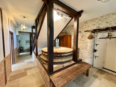 Beautifully restored 19th century water mill with stunning gîtes set in parkland near Castelnau-Montratier