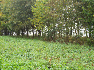 French property for sale in Verchocq, Pas-de-Calais - €25,000 - photo 5