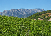 Propriété à vendre à Saint-Chinian, Hérault - 1 700 000 € - photo n°10