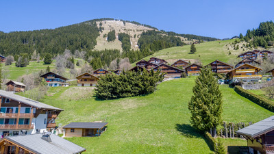 French property for sale in Châtel, Haute-Savoie - €433,000 - photo 8