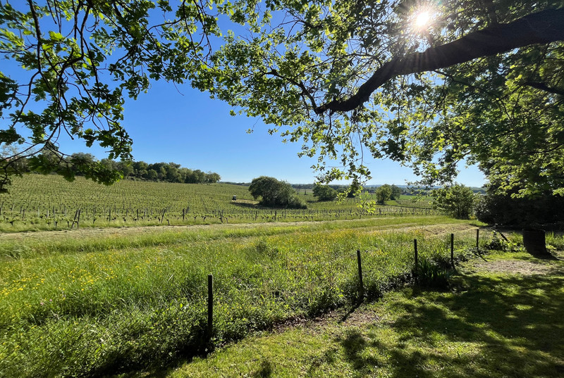 French property for sale in Margueron, Gironde - €99,000 - photo 4
