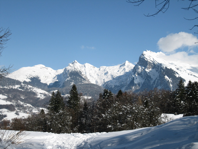 Propriété de ski à vendre - Morillon - 635 000 € - photo 5
