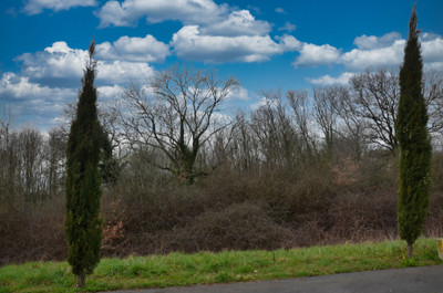 Terrain à vendre à Vasles, Deux-Sèvres, Poitou-Charentes, avec Leggett Immobilier