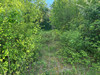 French property for sale in Bertric-Burée, Dordogne - €16,600 - thumbnail 14