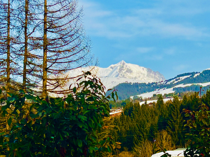 Ski property for sale in Megeve - €1,280,000 - photo 3