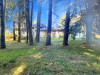French property for sale in Saint-Yrieix-le-Déjalat, Corrèze - €844,000 - thumbnail 9