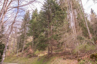 Terrain à vendre à Courchevel, Savoie - 21.600 € - photo 6