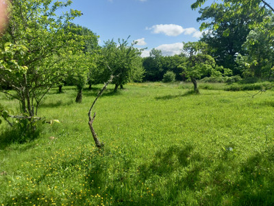 French property for sale in Sarroux - Saint Julien, Corrèze - €205,200 - photo 2
