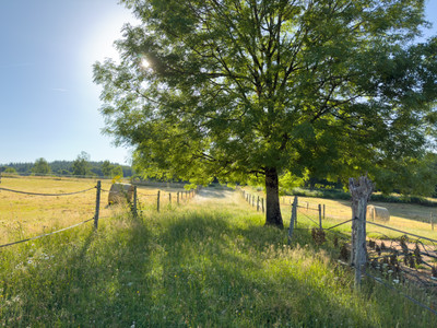 French property for sale in La Chapelle-Montbrandeix, Haute-Vienne - €475,000 - photo 7