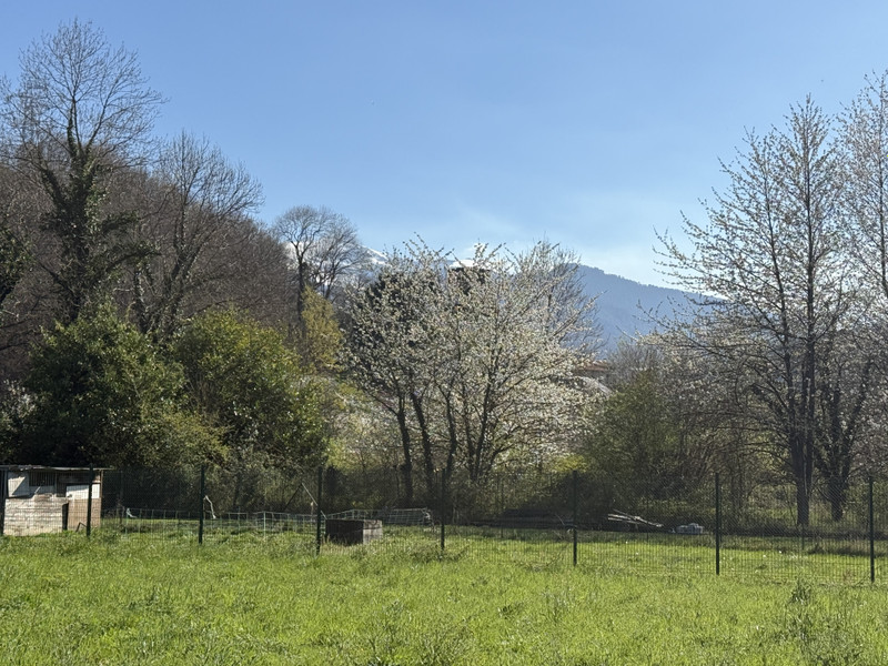 French property for sale in Fronsac, Haute-Garonne - €39,000 - photo 6