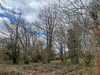 French property for sale in La Coquille, Dordogne - €20,000 - thumbnail 9