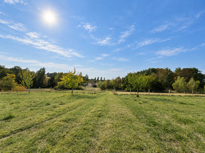 French property for sale in Saint-Sernin, Lot-et-Garonne - €645,000 - photo 12