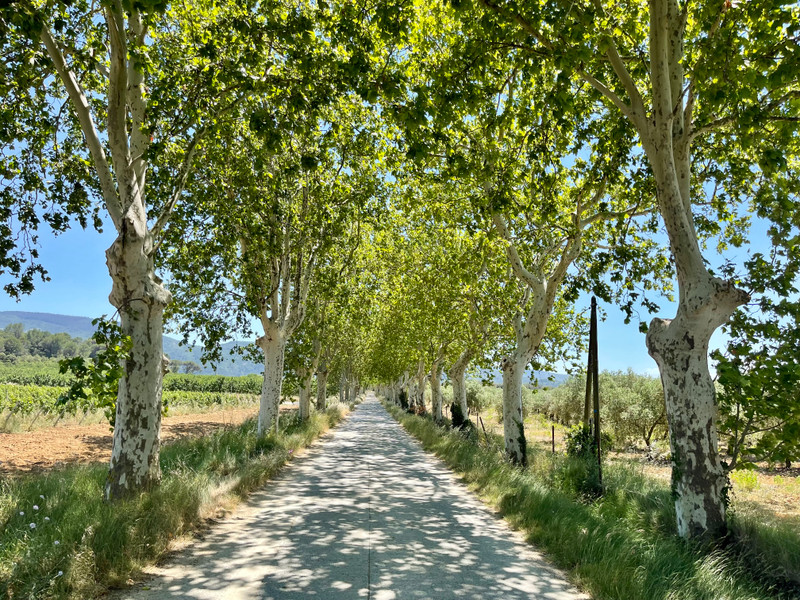 House for sale in Trèbes Aude UNDER OFFER. Character canalside home