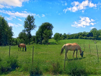 Propriété à vendre à Mont-Saint-Jean, Sarthe - 379 000 € - photo n°2