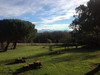 French property for sale in Montaner, Pyrénées-Atlantiques - €325,000 - thumbnail 14