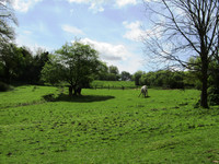 Maison à vendre à Vimartin-sur-Orthe, Mayenne - 215.053 € - photo 2