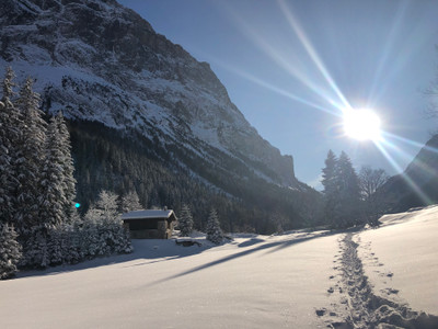 chalet for sale in Savoie