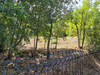 French property for sale in Maureillas-las-Illas, Pyrénées-Orientales - €112,000 - thumbnail 5