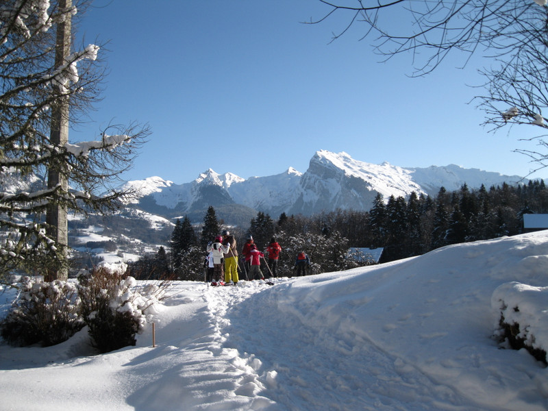 Propriété de ski à vendre - Morillon - 635 000 € - photo 9