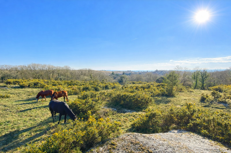 French property for sale in Saint-Nicodème, Côtes-d'Armor - €350,000 - photo 11