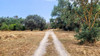 French property for sale in Ortaffa, Pyrénées-Orientales - €495,000 - thumbnail 13