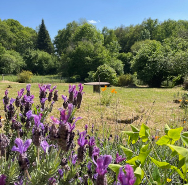 French property for sale in Champsanglard, Creuse - €105,000 - photo 8