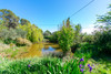 French property for sale in Saint-Frichoux, Aude - €478,000 - thumbnail 14