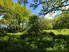 French property for sale in Champagne-Mouton, Charente - €29,000 - thumbnail 9
